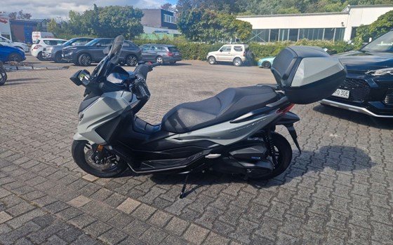 Gebrauchtmotorrad Honda Forza 350 - Bild 3