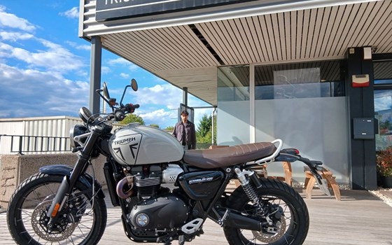 Gebrauchtmotorrad Triumph Scrambler 1200 X - Bild 1
