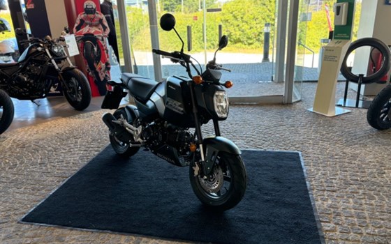 Gebrauchtmotorrad Honda MSX125 Grom - Bild 2