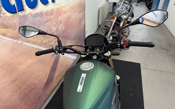 Gebrauchtmotorrad Benelli Leoncino 800 Trail - Bild 2