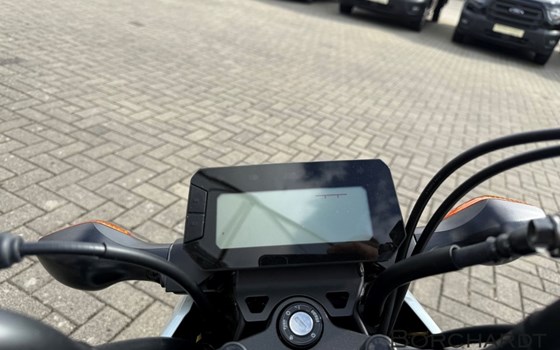 Neufahrzeug Honda MSX125 Grom - Bild 12