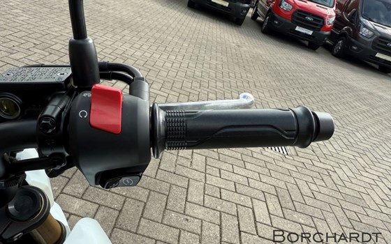 Neufahrzeug Honda MSX125 Grom - Bild 13