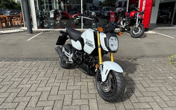 Neufahrzeug Honda MSX125 Grom - Bild 2