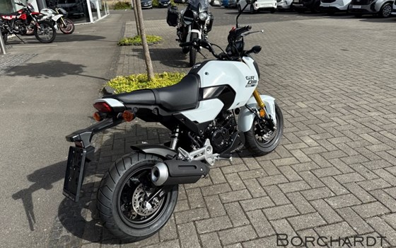 Neufahrzeug Honda MSX125 Grom - Bild 3