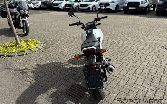 Neufahrzeug Honda MSX125 Grom - Bild 4