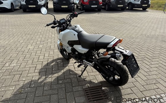 Neufahrzeug Honda MSX125 Grom - Bild 5