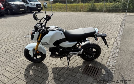 Neufahrzeug Honda MSX125 Grom - Bild 6