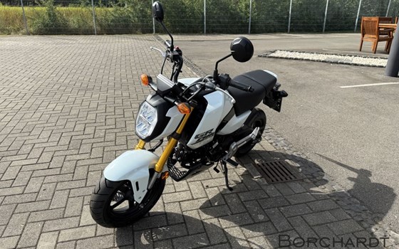 Neufahrzeug Honda MSX125 Grom - Bild 7