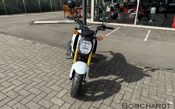Neufahrzeug Honda MSX125 Grom - Bild 8