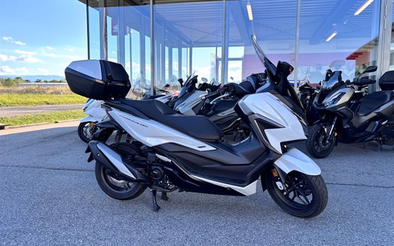 Gebrauchtmotorrad Honda Forza 350 - Bild 1 Gebrauchtmotorrad Honda Forza 350 - Bild 1