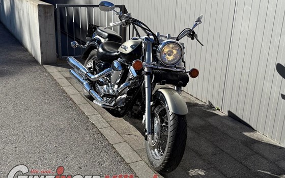 Gebrauchtmotorrad Yamaha XV 1600 Wild Star - Bild 7 Gebrauchtmotorrad Yamaha XV 1600 Wild Star - Bild 7