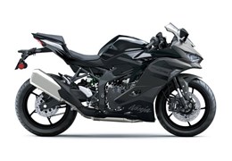 Neumotorrad Kawasaki Ninja ZX-4RR