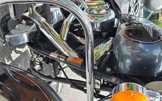 Gebrauchtmotorrad Harley-Davidson FXST/F - Bild 11 Gebrauchtmotorrad Harley-Davidson FXST/F - Bild 11