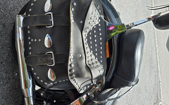 Gebrauchtmotorrad Harley-Davidson FXST/F - Bild 13 Gebrauchtmotorrad Harley-Davidson FXST/F - Bild 13