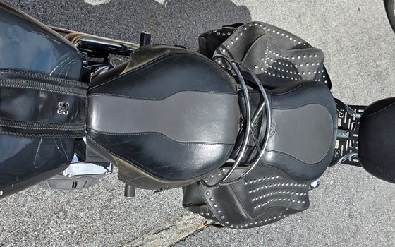 Gebrauchtmotorrad Harley-Davidson FXST/F - Bild 14 Gebrauchtmotorrad Harley-Davidson FXST/F - Bild 14