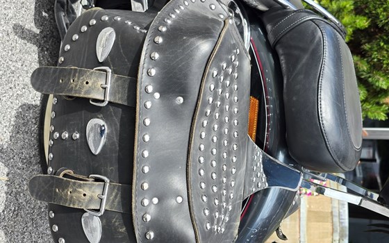 Gebrauchtmotorrad Harley-Davidson FXST/F - Bild 15