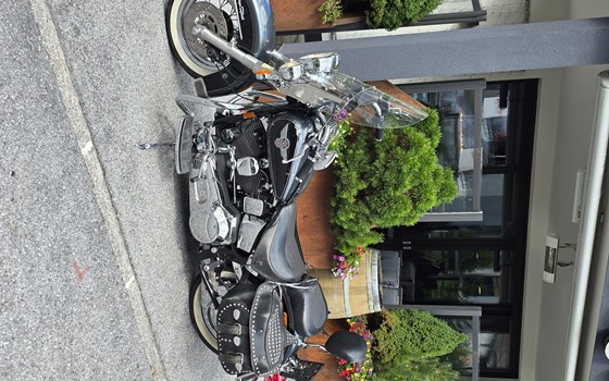 Gebrauchtmotorrad Harley-Davidson FXST/F - Bild 16 Gebrauchtmotorrad Harley-Davidson FXST/F - Bild 16