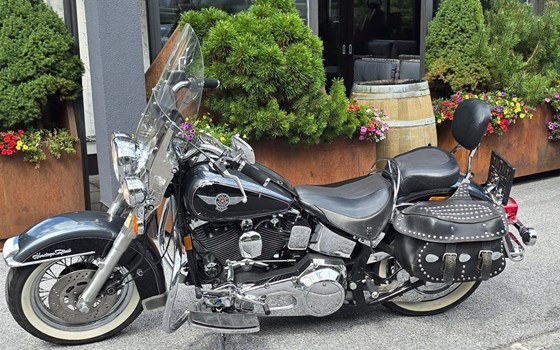 Gebrauchtmotorrad Harley-Davidson FXST/F - Bild 17