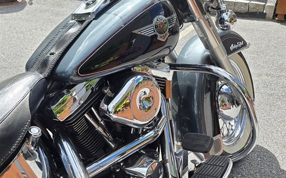 Gebrauchtmotorrad Harley-Davidson FXST/F - Bild 19 Gebrauchtmotorrad Harley-Davidson FXST/F - Bild 19
