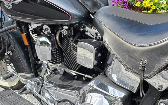 Gebrauchtmotorrad Harley-Davidson FXST/F - Bild 21 Gebrauchtmotorrad Harley-Davidson FXST/F - Bild 21