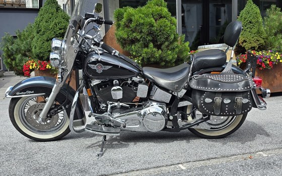 Gebrauchtmotorrad Harley-Davidson FXST/F - Bild 3