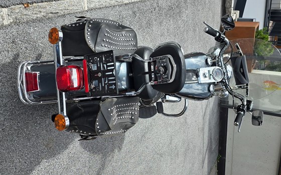 Gebrauchtmotorrad Harley-Davidson FXST/F - Bild 7 Gebrauchtmotorrad Harley-Davidson FXST/F - Bild 7