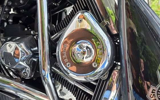 Gebrauchtmotorrad Harley-Davidson FXST/F - Bild 8 Gebrauchtmotorrad Harley-Davidson FXST/F - Bild 8