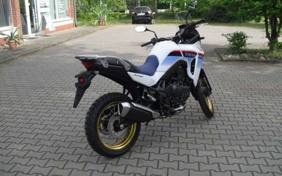 Neufahrzeug Honda XL750 Transalp - Bild 7