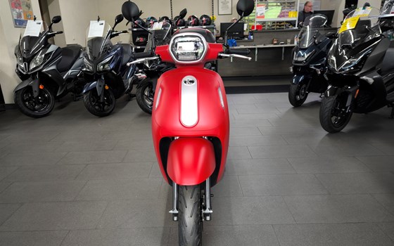 Neufahrzeug Kymco Filly 50i - Bild 2