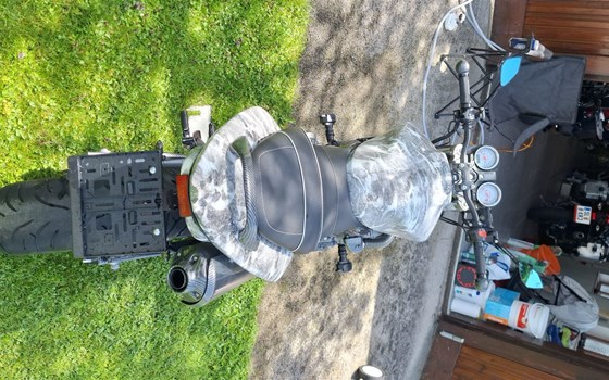 Gebrauchtmotorrad Honda CB 600 F Hornet - Bild 4 Gebrauchtmotorrad Honda CB 600 F Hornet - Bild 4