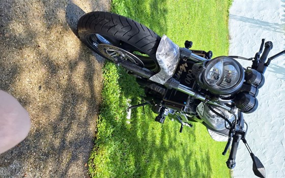 Gebrauchtmotorrad Honda CB 600 F Hornet - Bild 8 Gebrauchtmotorrad Honda CB 600 F Hornet - Bild 8