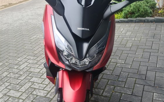 Gebrauchtmotorrad Honda Forza 125 - Bild 2