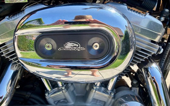 Gebrauchtmotorrad Harley-Davidson Sportster XL 883 L SuperLow - Bild 3 Gebrauchtmotorrad Harley-Davidson Sportster XL 883 L SuperLow - Bild 3