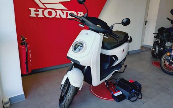 Gebrauchtmotorrad NIU MQi GT EVO - Bild 2