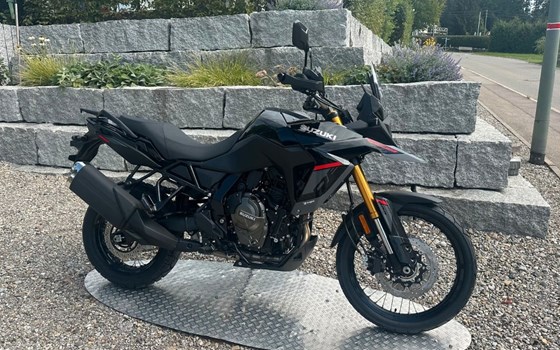 Neufahrzeug Suzuki V-Strom 800DE - Bild 1