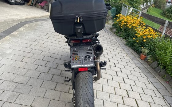 Gebrauchtmotorrad Ducati Hypermotard 939 - Bild 7 Gebrauchtmotorrad Ducati Hypermotard 939 - Bild 7