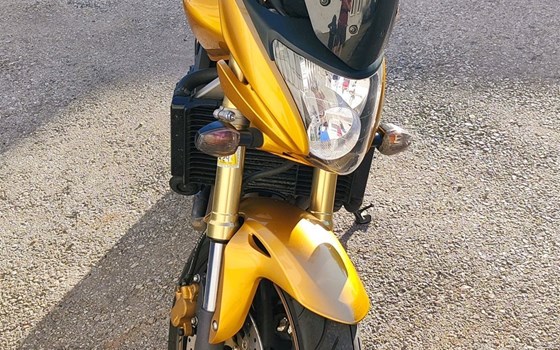 Gebrauchtmotorrad Honda CB 600 F Hornet - Bild 2 Gebrauchtmotorrad Honda CB 600 F Hornet - Bild 2