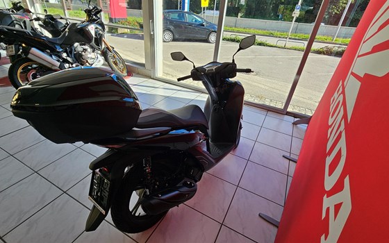 Neufahrzeug Honda SH125i - Bild 3 Neufahrzeug Honda SH125i - Bild 3