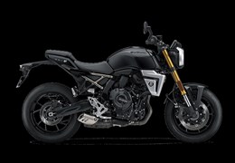 Neumotorrad Suzuki GSX-8T