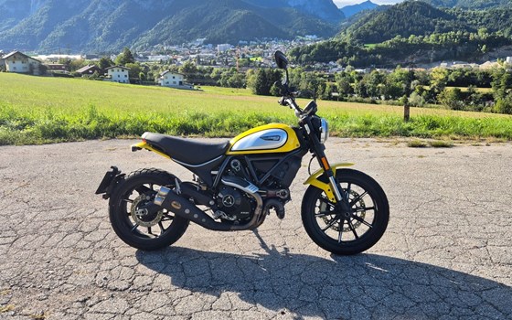 Gebrauchtmotorrad Ducati Scrambler Icon - Bild 4 Gebrauchtmotorrad Ducati Scrambler Icon - Bild 4