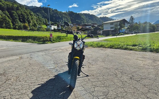 Gebrauchtmotorrad Ducati Scrambler Icon - Bild 8 Gebrauchtmotorrad Ducati Scrambler Icon - Bild 8