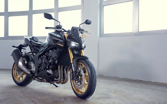 Neufahrzeug Honda CB1000 Hornet SP - Bild 12