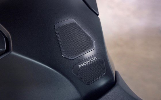 Neufahrzeug Honda CB1000 Hornet SP - Bild 8