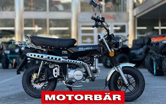 Neufahrzeug Skyteam Skymax 125 - Bild 2