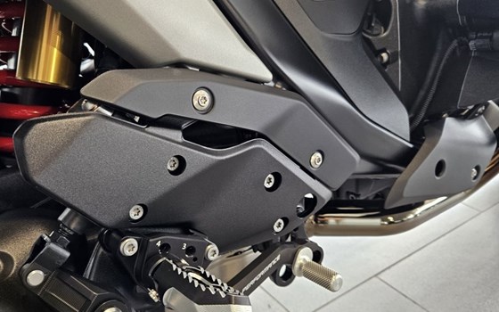 Neufahrzeug BMW R 1300 R - Bild 8 Neufahrzeug BMW R 1300 R - Bild 8