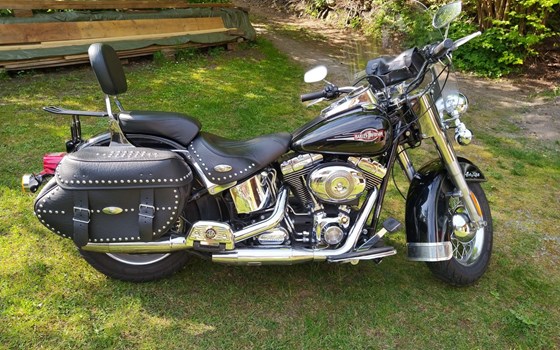 Gebrauchtmotorrad Harley-Davidson Softail Heritage Classic FLSTC - Bild 3 Gebrauchtmotorrad Harley-Davidson Softail Heritage Classic FLSTC - Bild 3