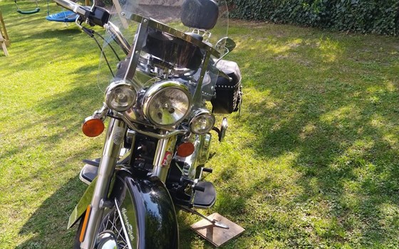Gebrauchtmotorrad Harley-Davidson Softail Heritage Classic FLSTC - Bild 2 Gebrauchtmotorrad Harley-Davidson Softail Heritage Classic FLSTC - Bild 2