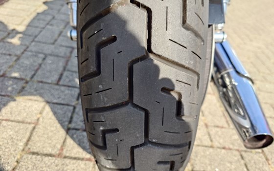 Gebrauchtmotorrad Harley-Davidson Sportster XL 883 - Bild 16