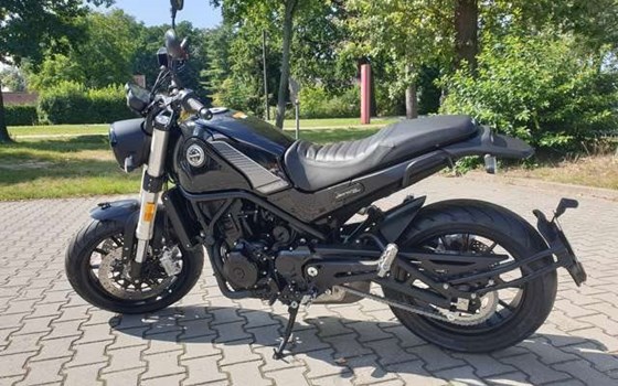 Neufahrzeug Benelli Leoncino 500 - Bild 4