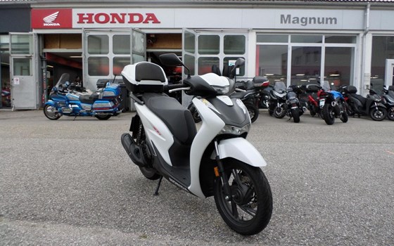 Gebrauchtmotorrad Honda SH125i - Bild 1 Gebrauchtmotorrad Honda SH125i - Bild 1